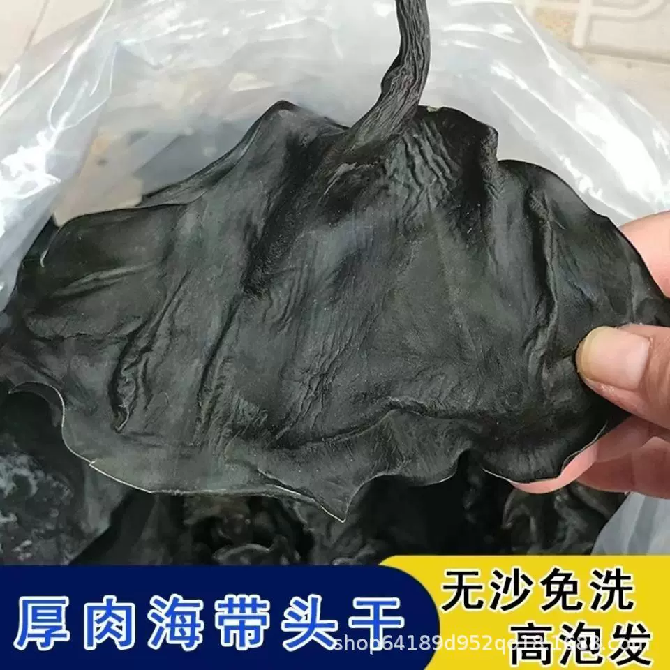 海带头干货厚片海带福建日晒海带梗5到10公分福建霞浦地摊货源批