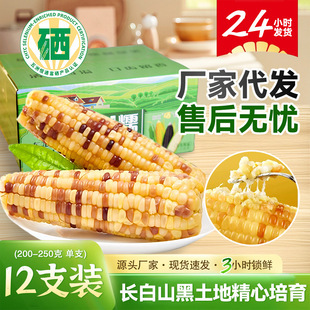 ��հ��b�������rŴ�������l12֧/�仨������ʹ��͵�֬Ŵ����