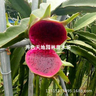 �ļ�������������S�����������C�����SƤ����������箔��Y��