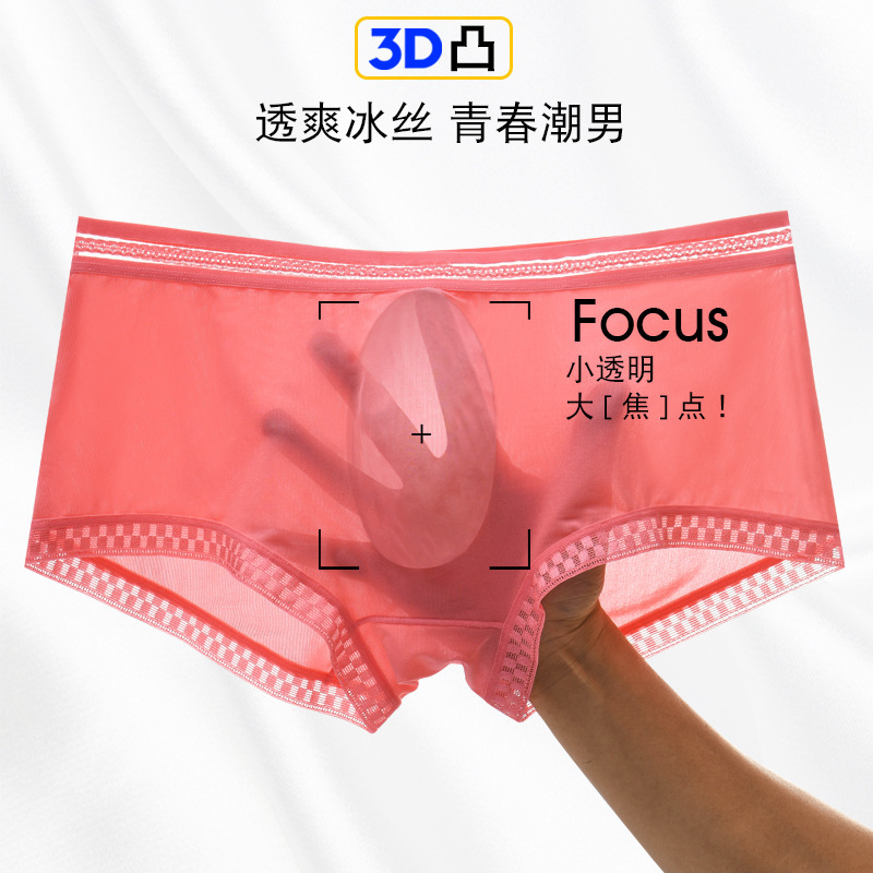 3D Lace Underwear Men's Summer New Translucent Ice Silk Boxer Briefs One-Piece Sexy Men's Youth Underwear