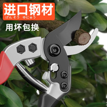 �ձ��M��SK5䓹���@ˇ��֦������֦���ü���������ˇ֦�l����