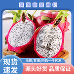 源头一件代发白心火龙果越南新鲜进口精选大果热带水果多汁脆嫩