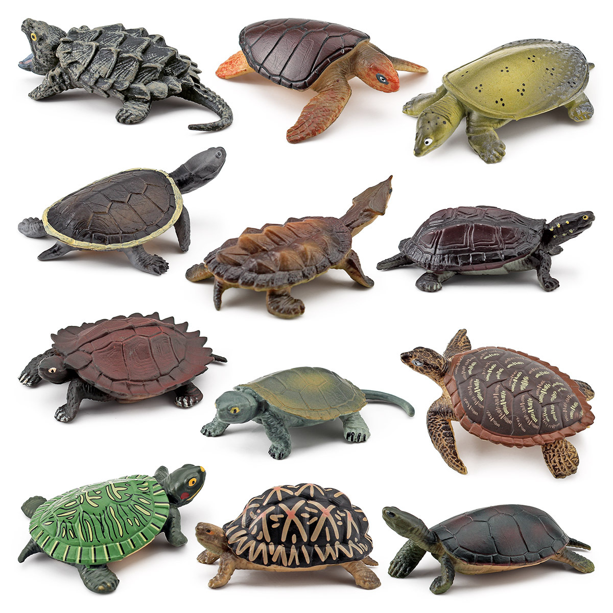 Cross-border simulation amphibious reptile turtle model real crocodile turtle grass turtle snapping turtle Chinese softshell turtle decorative toy