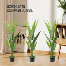 �羳���W�L���ͷ���� �҃��������˽��Ҿ��bƵ���澰�^�[��