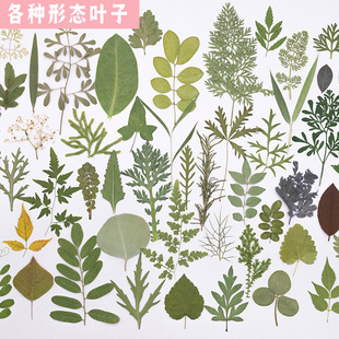 ��Ȼ�����~�ɻ�����ֲ��˱����diy�ֹ������׃��@�b��N��