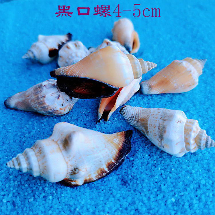 黑口