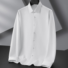 春秋季男式休闲时尚加肥加大码宽松轻熟风男士轻商务长袖翻领衬衫