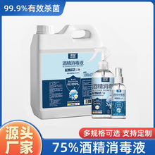 75度酒精喷雾消毒杀菌衣物清洁便携100ml清洁家用速干酒精消毒液