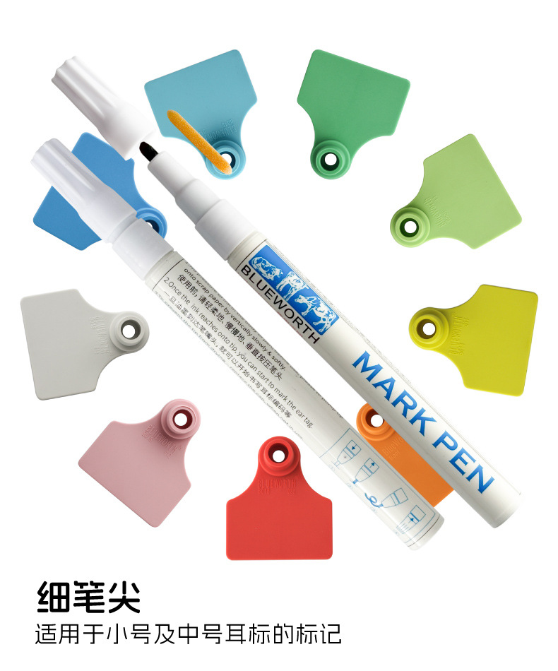 小笔详情_B.jpg