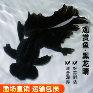 ��������~��β���~���\���^�����~�ڽ��~���B�ͻ�С����ˮ�^�p�~