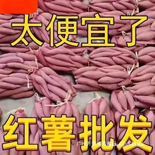 10Ŵɽ���r��ɳ�������������ļt���S�عϿ������9��ܛ���r����