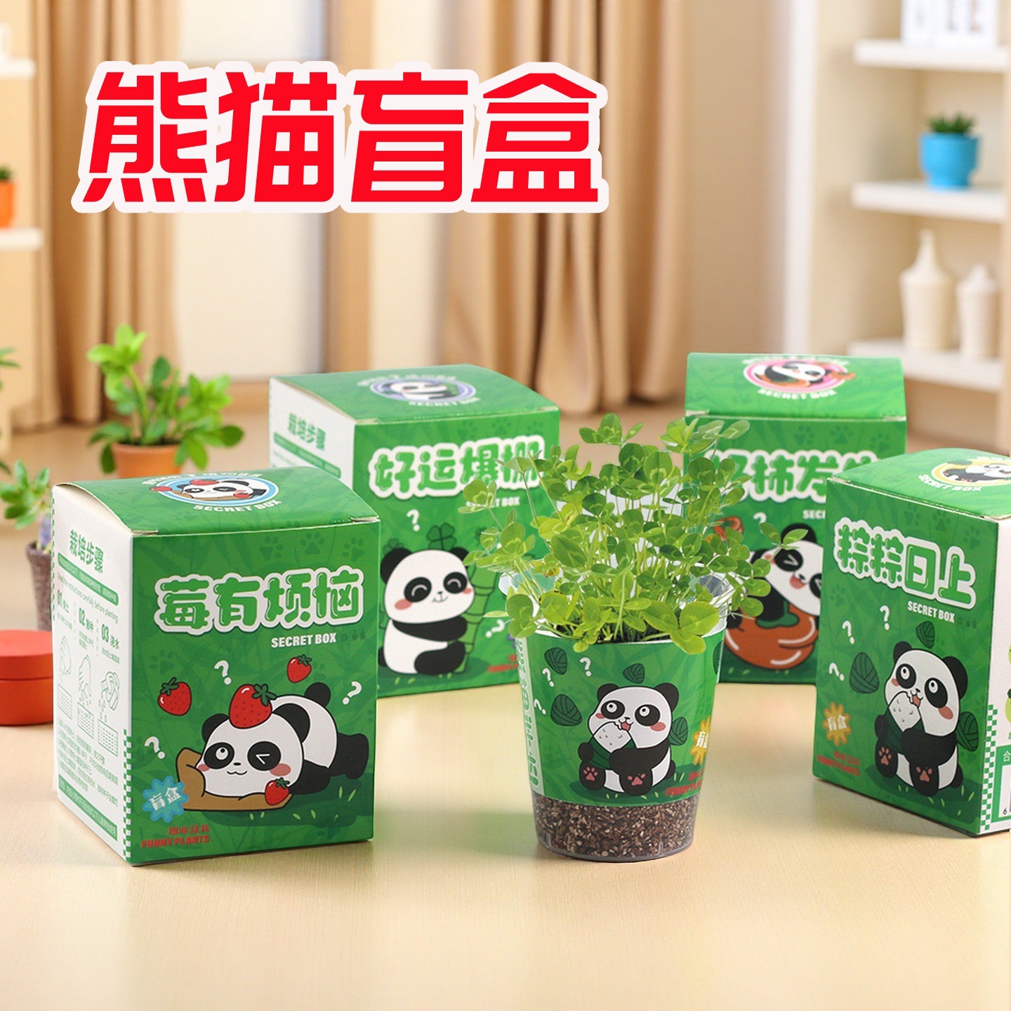 儿童励志熊猫种植小盆栽 小学生种植盲盒礼品创意手工DIY植物盆栽