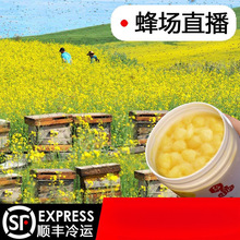 {2.8%{¸Ʒ|ҰȻrԮaʝ{r