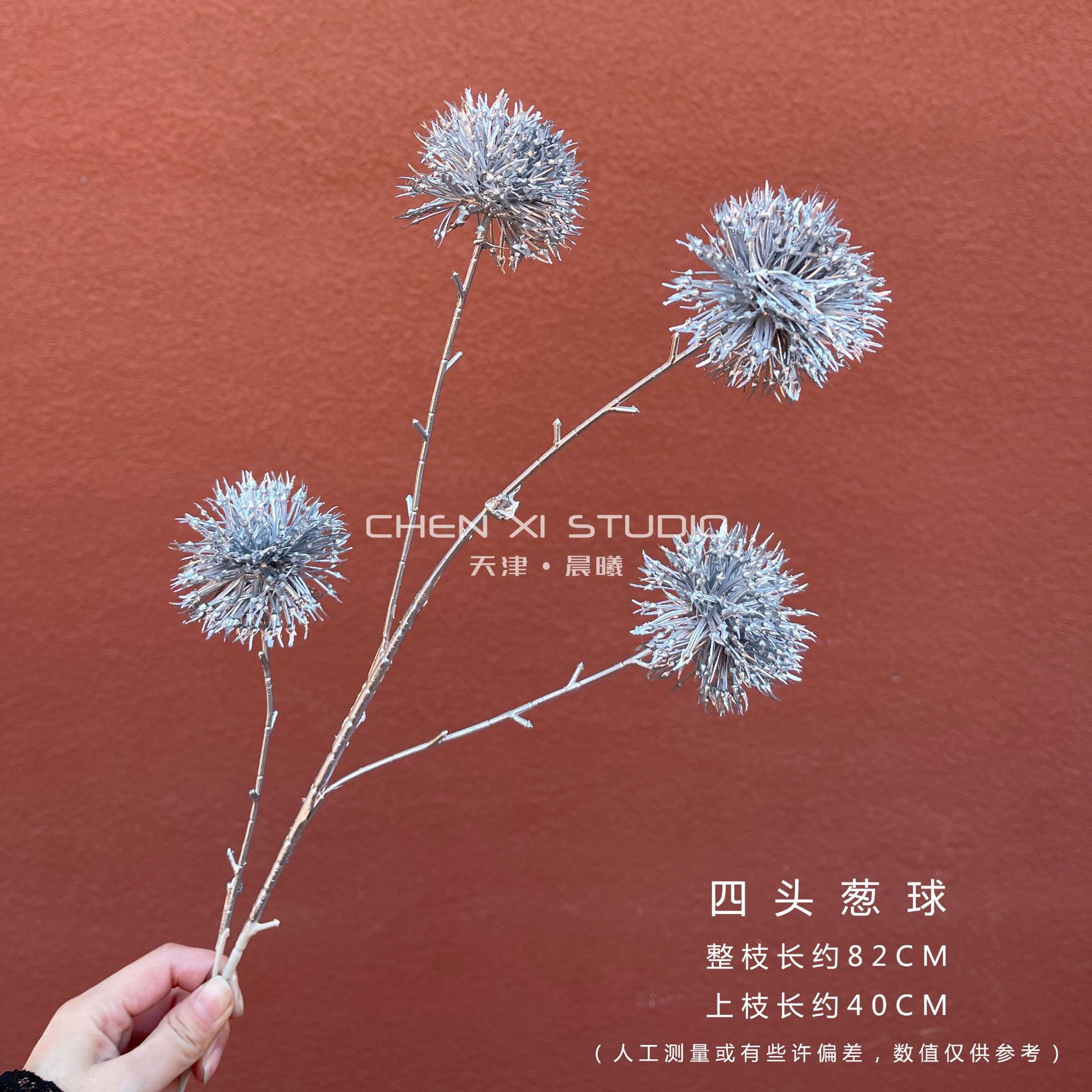 키가 큰 양파 공