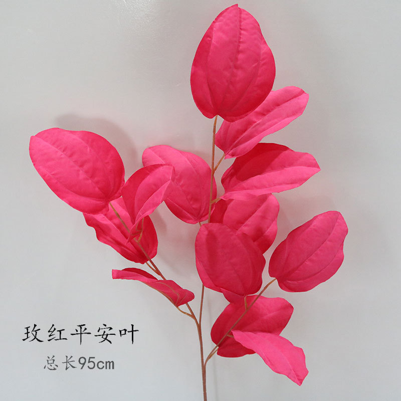 Rose Red Hoja de Seguridad