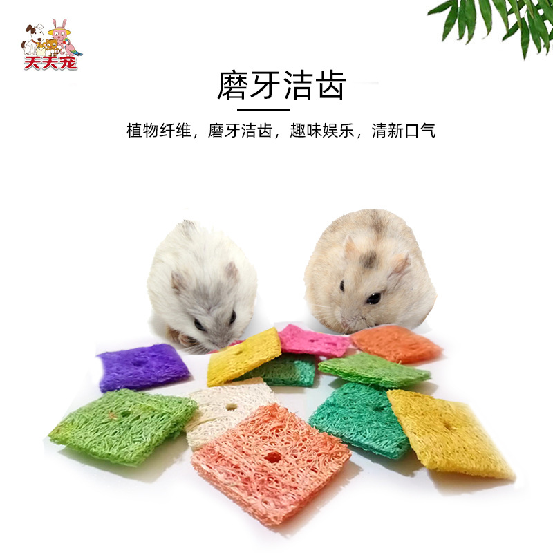 Cucumber Lattice Pet Supplies Hamster Chinchilla Rodent Pet Chew Toys for Teeth Cleaning and Digestion Square Biscuit