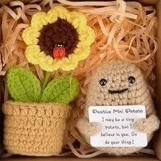 Cross-Border Finished Handmade Knitted Small Doll Wool Crocheted Cactus Potato Doctor Hat Big-Eyed Frog Ornaments