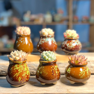 ���⻨���մ�Ĵָ�����l����G׃���Դ���С̖�Ϙ�����