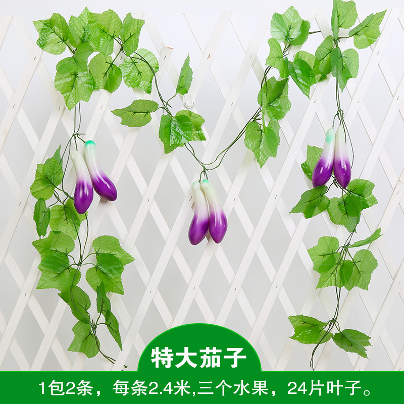 특대형 가지(2팩)