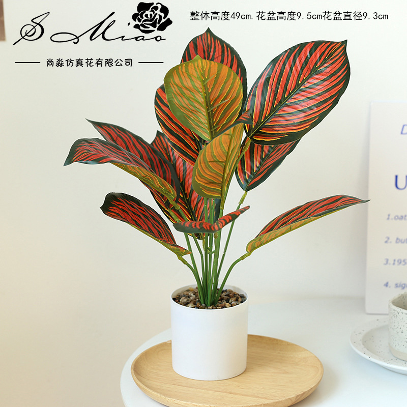 Verde oscuro 225165 plantas verdes en maceta ☆