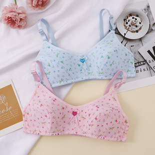 (Wholesale), underwear, cute thin wireless bra, (Physicals), floral print
