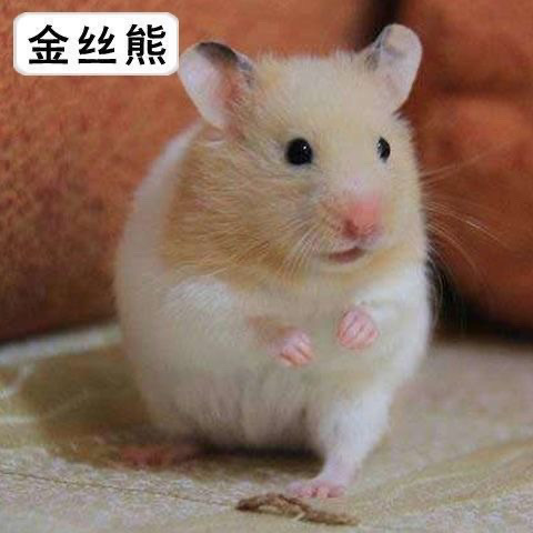 df9eaa7f-fd55-478e-a47e-1f3305bb5d9b.jpe