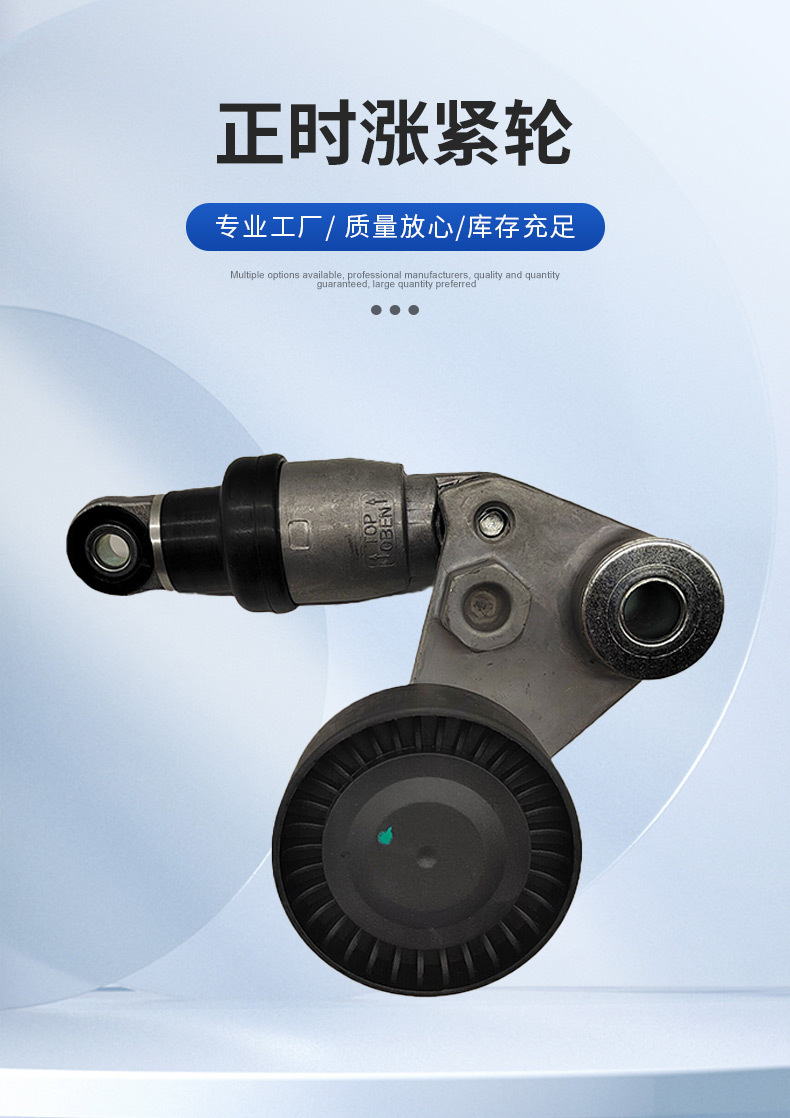 252813C100 252813C600 Is Suitable for Santa Fe Veracruz Sorento Timing Belt Tensioner
