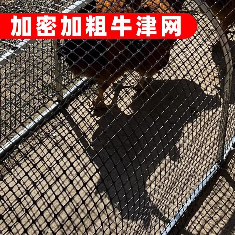 走地鸡笼养鸡隧道跑笼农场庭院户外鸡笼可折叠折叠式溜达养殖笼|undefined