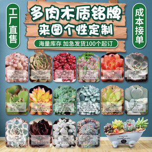 �S�Ҍ���������ƒ��ľ�|��ˇƷ����b��L���ƶYƷľ�Ƙ���