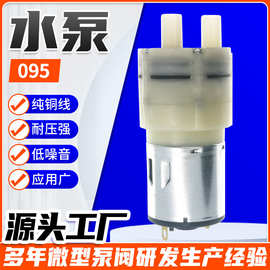 大流量水泵 24V3L壁炉抽水泵饮水机2L隔膜自吸喷雾泵自动电动电机