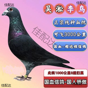 ���N��Ѫ���h�̅������B�N����������5000���﹫��ِ����