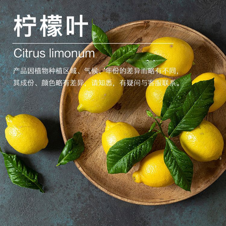 ���ҹ�Ӧ����Ҷ�� ������ȡ�������� ֲ��������������ӭ�ɹ�