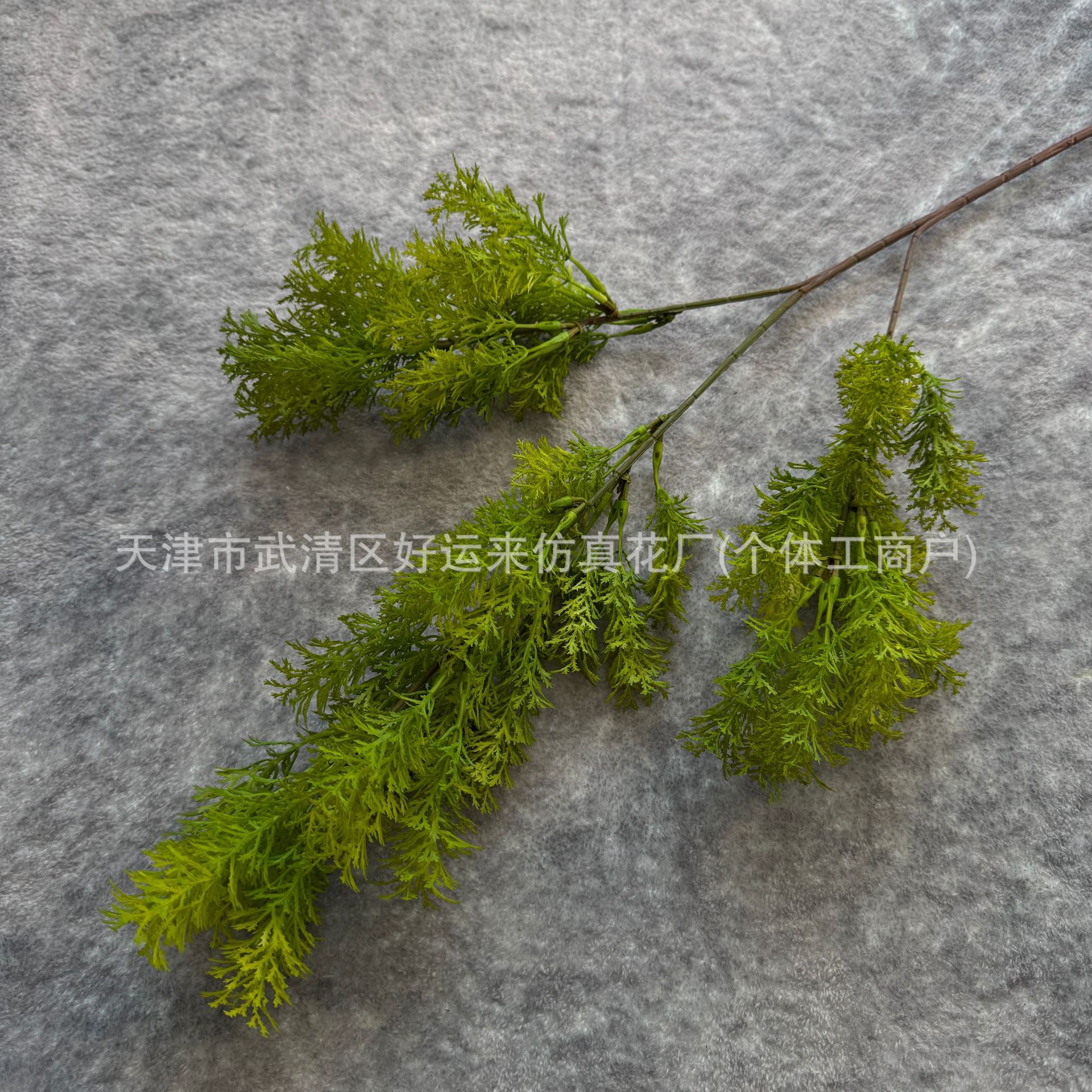 봉래 솔방울 녹색