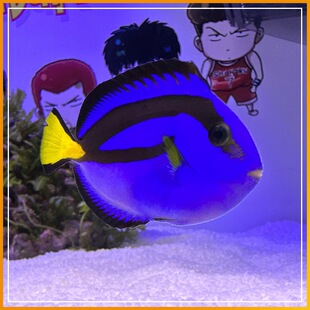 �{���{������ˮ�~���ǵ�����������w�󷫵����{�����^�p�~�����~