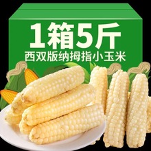 ���p��{Ĵָ����������Ŵ������Ʒ�N��ָ���׃�ͯ��ʹ����