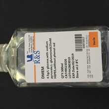 DMEM高糖 不含酚红
