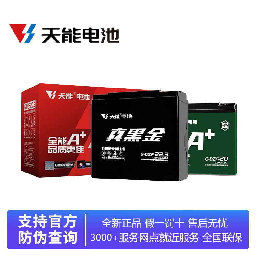 电瓶车蓄电池电动滑板车电池电动平板车电池48V60V电动搬运车电瓶