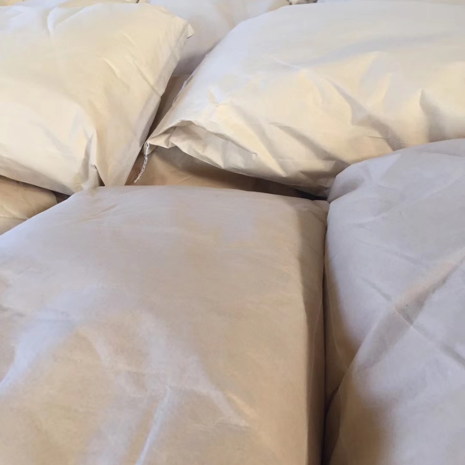 质优价廉 现货供应 制做石膏快粘粉用胶粉 高粘胶粉