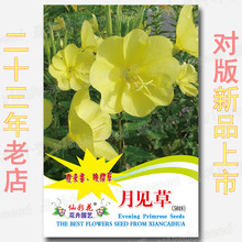 �s1000����Ҋ�ݷN��ֱ�� ҹ������Ѳ� ��ɫ�������b�߲˷N�����l