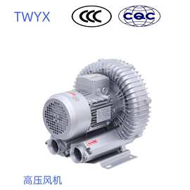 RB-41D高压风机 气体循环风机 抽真空风机 抽负压风机变频风机