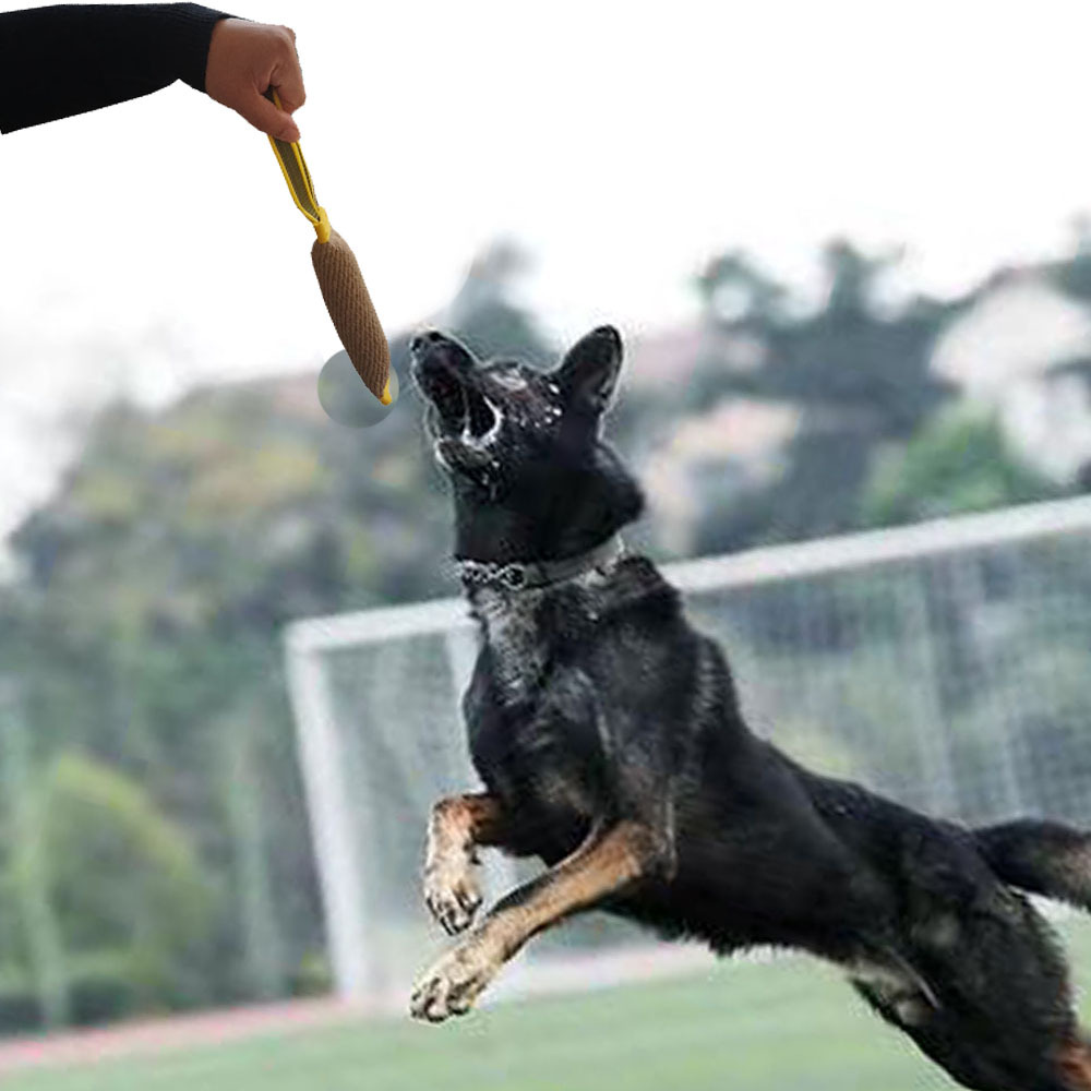 Durable Jute Dog Training Tug Toy And Pet Chew Stick Agility Aid_voghion.com