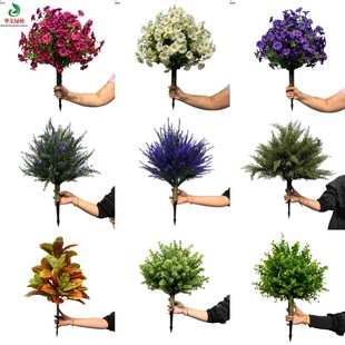 �羳�ز��������z�Gֲ����ؘ��~�辰�{���S��ľ޹�²ݵ�ᔼٻ�