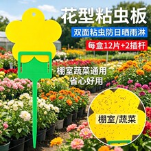 �S��ճ�x���E�R�����p����x�S�{�T�x��С���wճ�x���ļ��҃Ȍ���