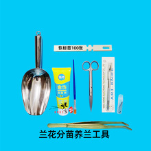 兰花分苗工具兰叶兰根修剪刀分苗伤口处理切口保阳台养兰用品