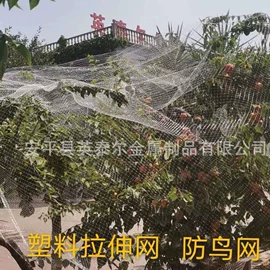 工农业塑料;其他安全网;农业塑料网