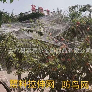 pp���ϾW �B�u ���B ���x  ֲ��֧�� �Bֳ������