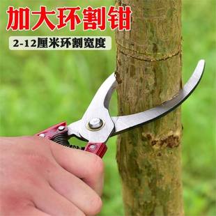 。 Fruit Tree Ring Borer, Branch Cutter, Lychee, Orange, Pomelo Fruit Tree Peeling Ring Borer, Bud Grafting