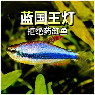 �{�������Ꭷ�����~ˮ�ݸ�Ⱥ�ε������{���������ʺ���~���w�~