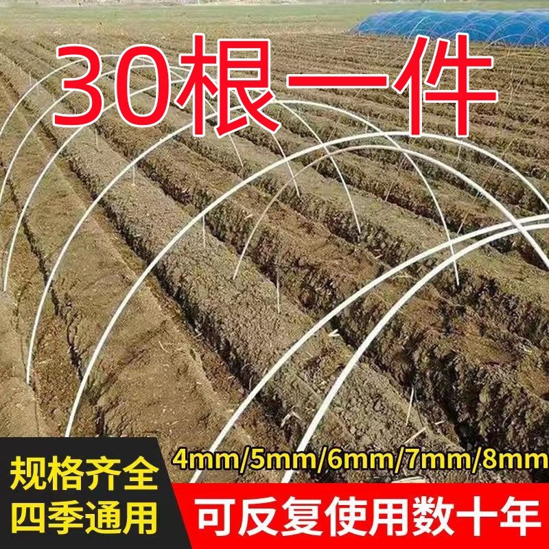 新型小拱棚支架豆角大棚骨架拱杆玻璃钢纤维杆农用菜地秧苗支撑杆