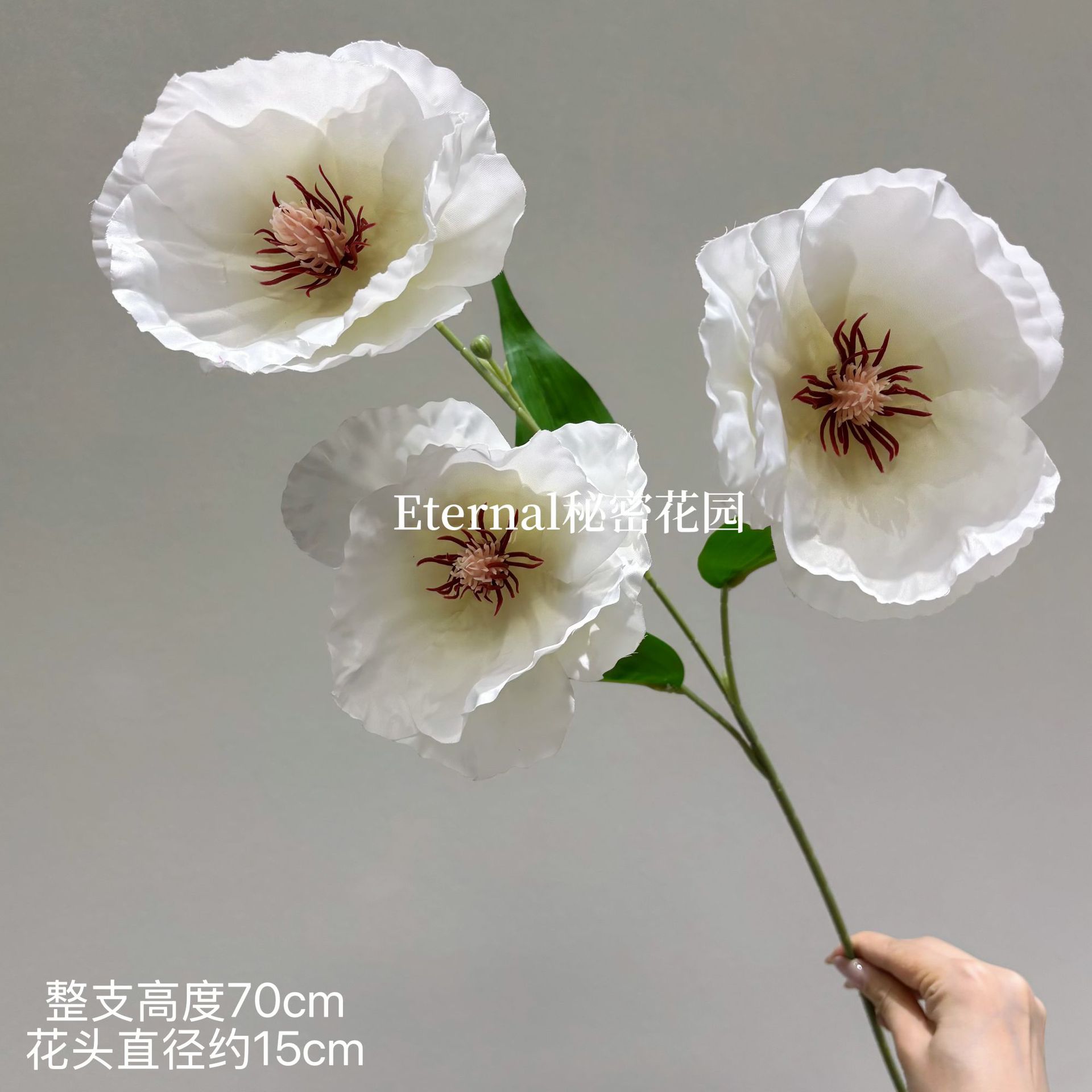 세 머리 양귀비